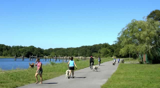 Busy Weekend Afternoon